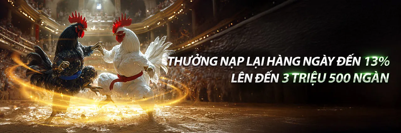 Đá gà vn999 trực tuyến, sân đấu sôi động