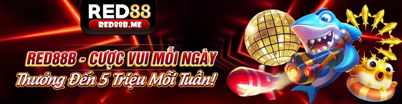 Cập nhật khuyến mãi và ưu đãi