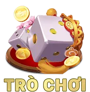 Trò chuyện Trực tuyến 24/7